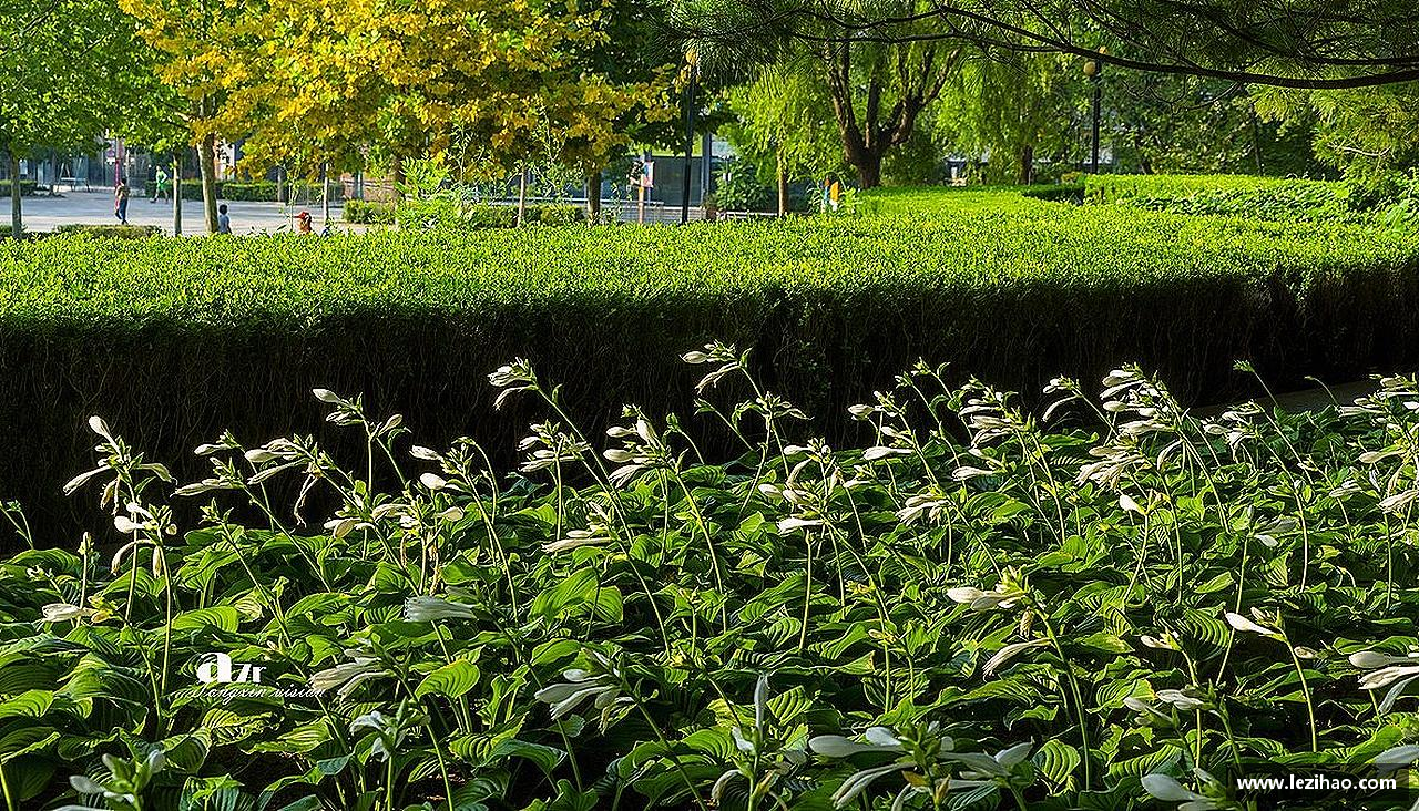 bsports官网拼尽全力，超越自我！